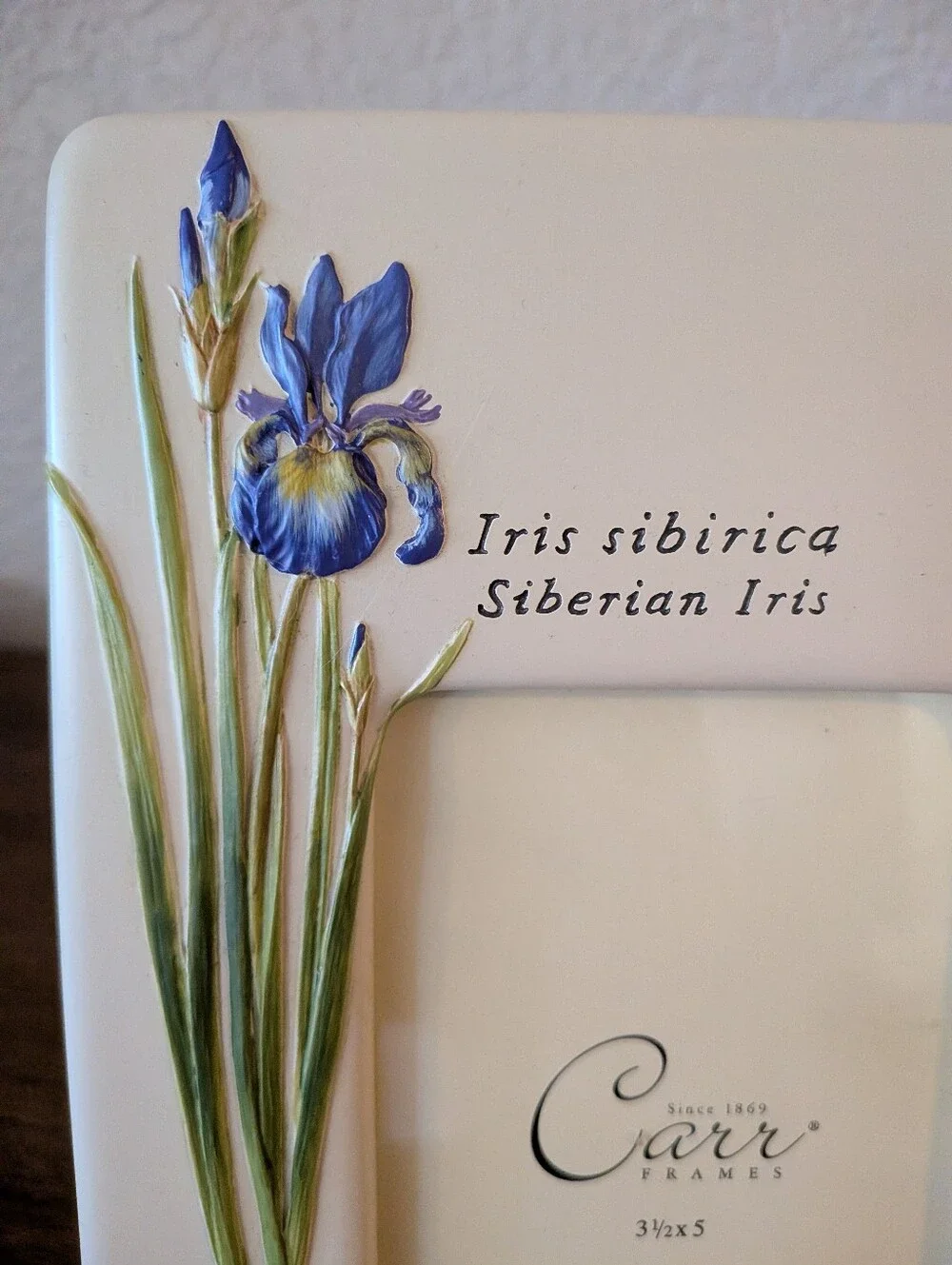 Carr Frames Botanical Garden Iris Floral Picture